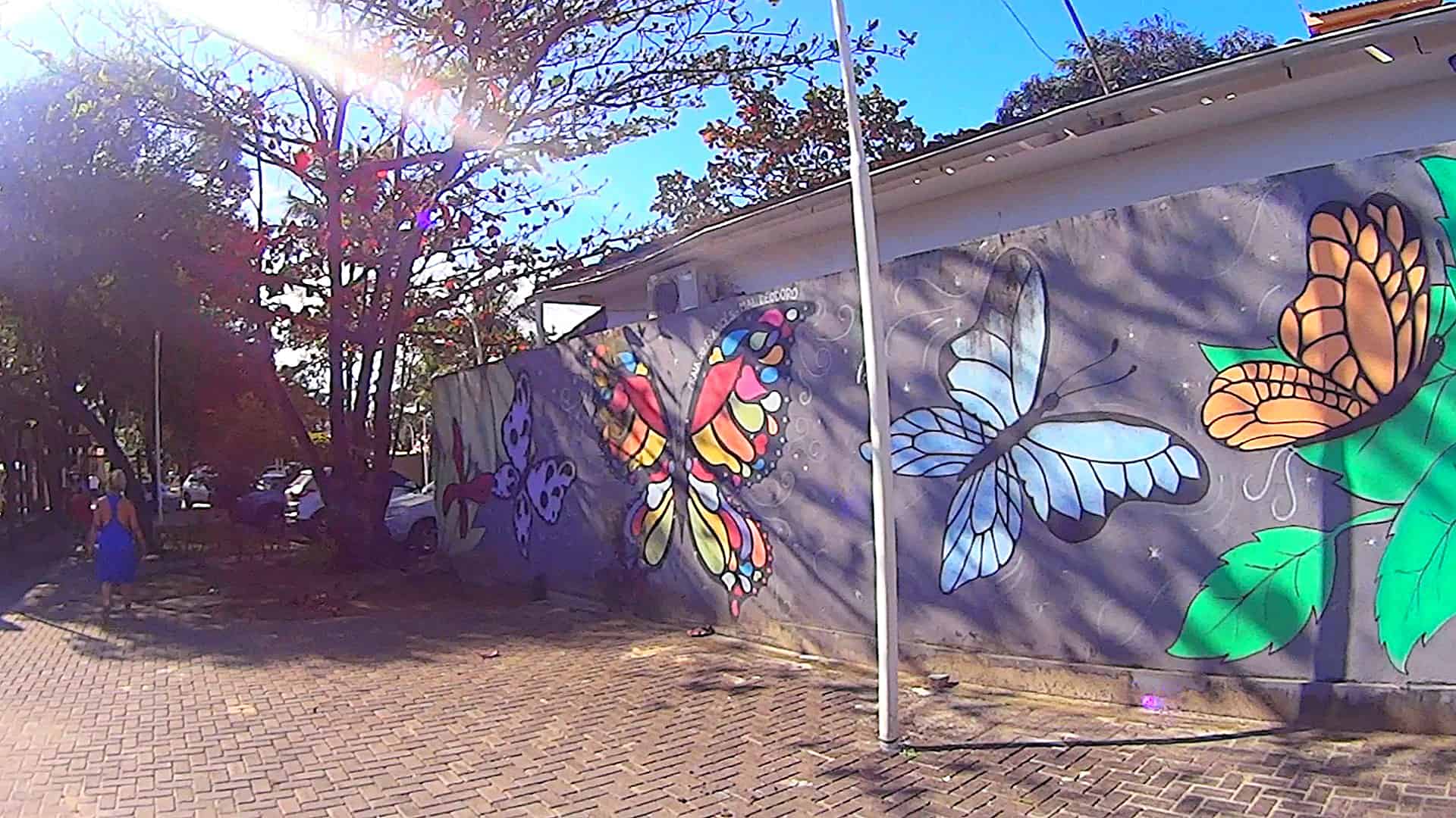 Grafites do Corredor Verde na Praia do Francês em Marechal Deodoro-AL »MinhaTrilha.com