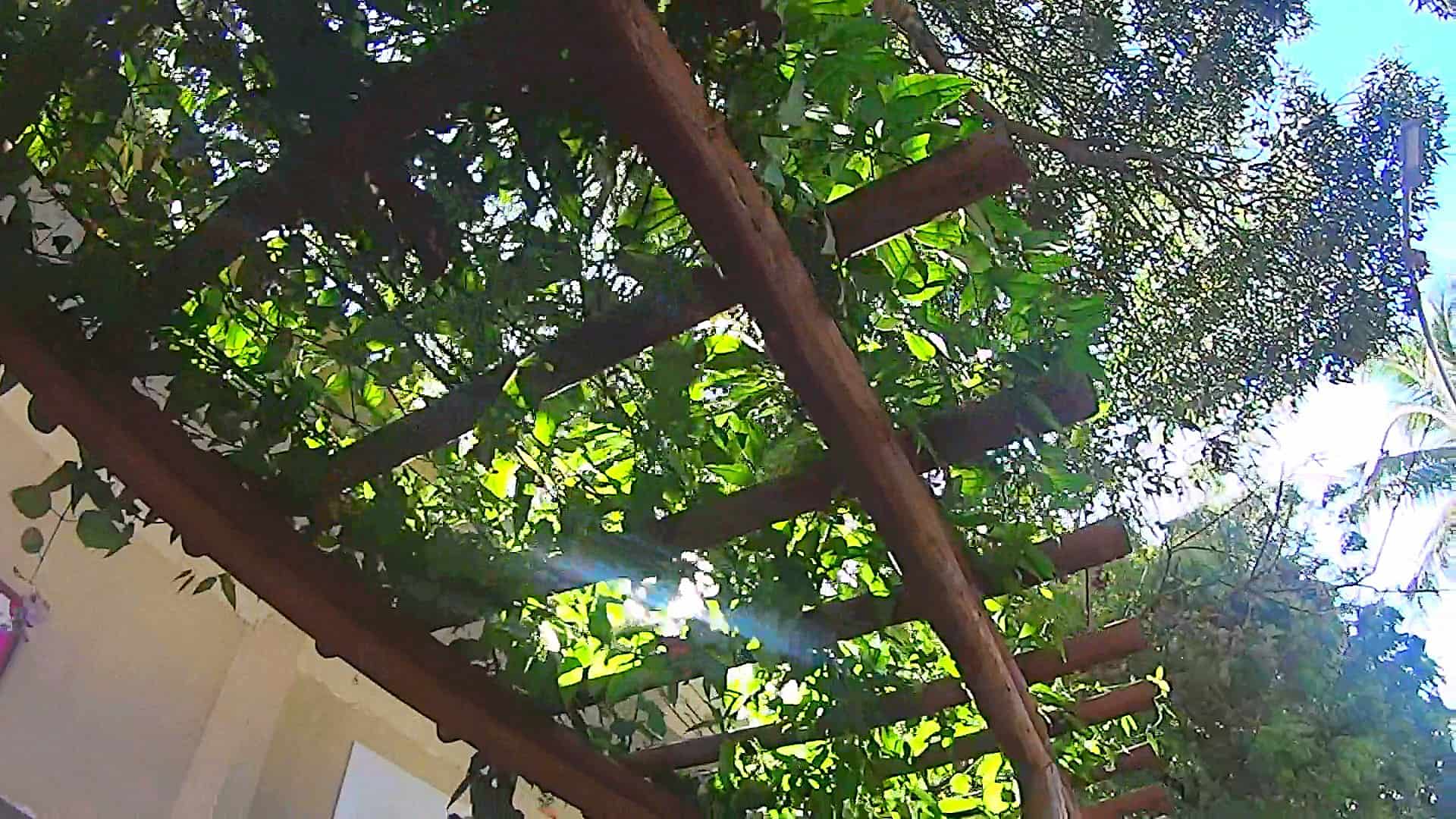 Pérgola do Corredor Verde na Praia do Francês em Marechal Deodoro-AL »MinhaTrilha.com